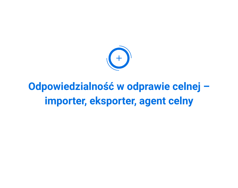 Odpowiedzialność w odprawie celnej